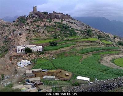 العثور على جثة مجهولة الهوية في قمة أعلى جبل في خولان 1 04 02 13 275217843