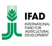 الإيفاد يخصص 110 ملايين دولار لتنفيذ مشروع النمو الريفي باليمن 1 04 05 13 435274541