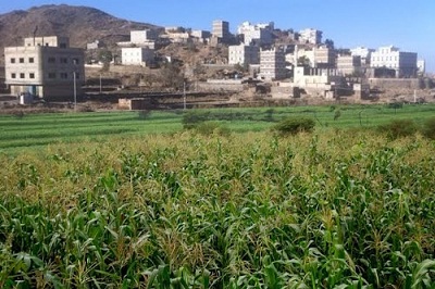 مدرسة انشأتها قطر في الشعيب بالضالع وتركتها اليمن بدون كادر تعليمي 1 06 01 13 953074714