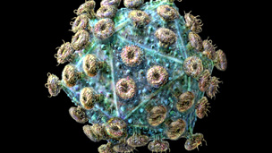 مكتشفة فيروس HIV متفائلة بإيجاد علاج للأيدز 1 07 06 12 646347106