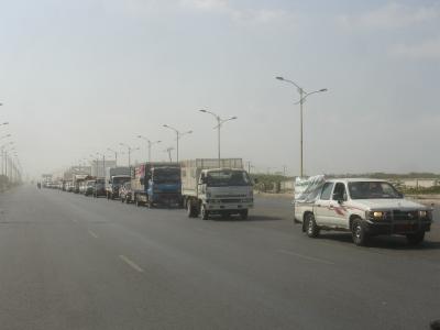 ضبط منشطات وأعضاء ذكرية صناعية في الحديدة 1 09 07 13 893174579