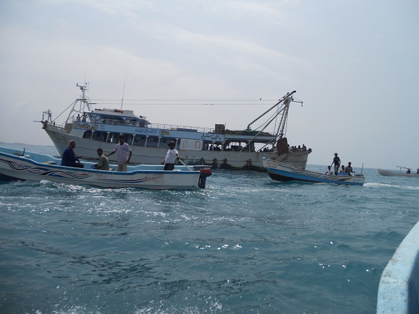 مصادر: سفن الجرف المصرية تمارس عمليات مشبوهة في عرض البحر وإبرام عقود مع شركات تعمل في اصطياد أسماك الزينة 1 22 06 13 829508018