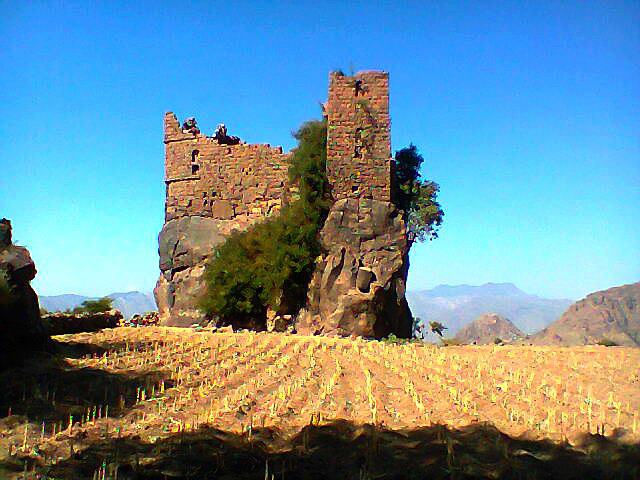 مقتل الشيخ المقداد ونجل الشيخ القانص في كمين نصبه مسلحون في انس بذمار 1 26 06 13 917208409