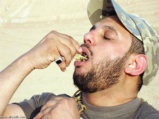 يصيد العقارب.. ليأكلها 1 29 05 13 633241847