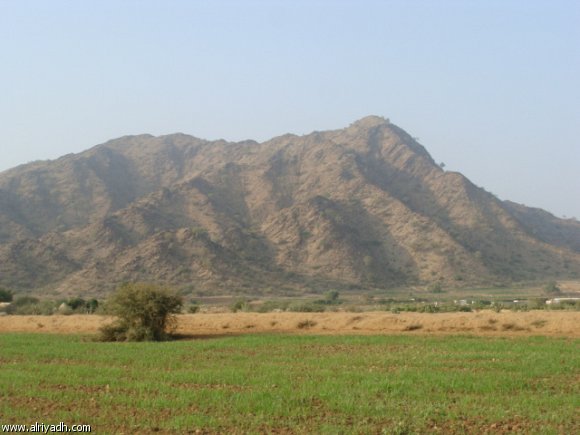 14 07 15 248651878189