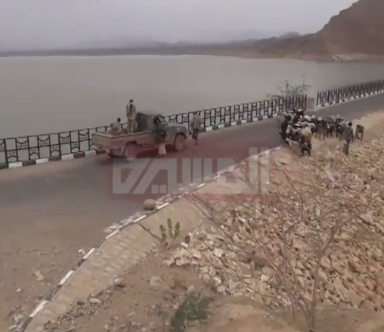 14 07 15 248651878203