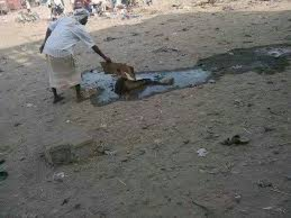 14 07 15 24865187879