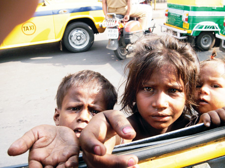 برنامج الغذاء العامي