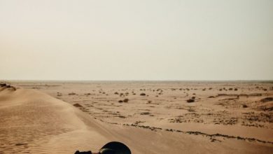 الأميرة هيفاء بنت عبدالله آل سعود