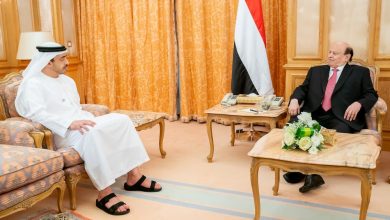 هادي ومحمد بن زايد