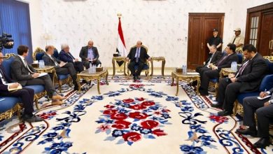 هادي يلتقي غريفيث بحضور بن دغر