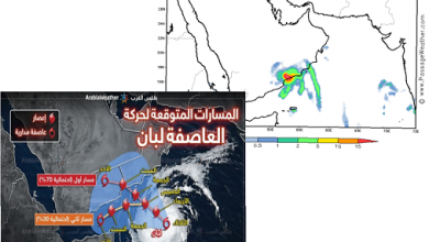 العاصفة لبان