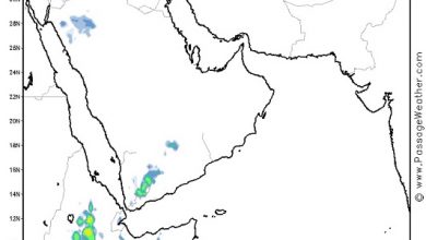 خلايا مطرية