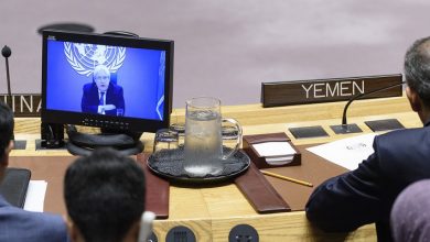 غريفيث في مجلس الامن1