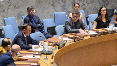 مجلس الامن1