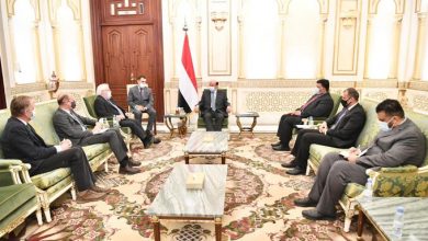 غريفيث يلتقي هادي