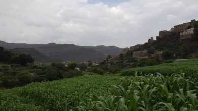 قرية قهلان دمت الضالع