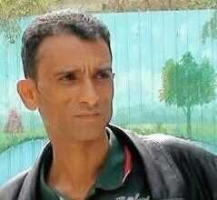 احمد النويهي