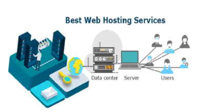 Hosting Services