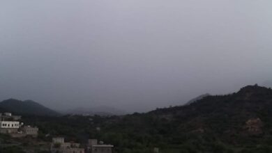 امطار ماوية