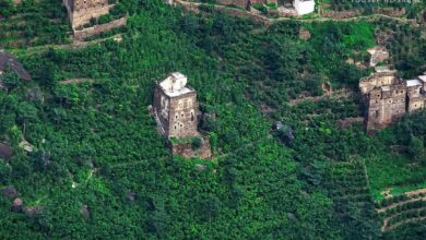 الجعفرية ريمة