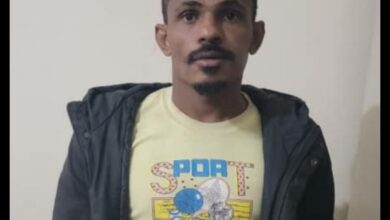 فارس انيس المتهم بقتل زوجته