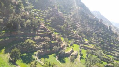 قرية نخيلة قبيطة