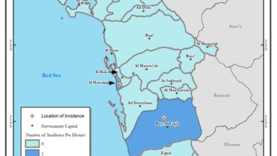 حوادث الالغام بالحديدة فبراير 2025