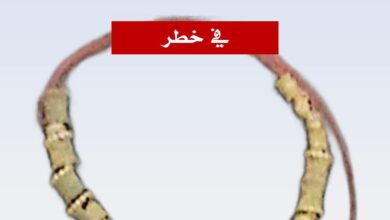 سرقة عقد من الذهب