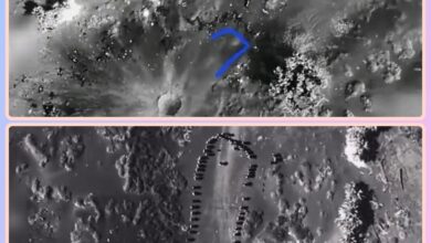 غارة الفازة ترامب