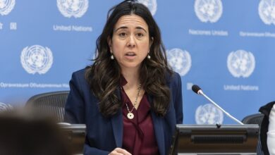 لانا نسيبة مساعدة وزير خارجية الإمارات للشؤون السياسية