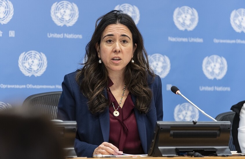 لانا نسيبة مساعدة وزير خارجية الإمارات للشؤون السياسية