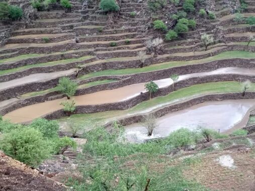 الارصاد: أمطار رعدية على 7 محافظات وحرارة شديدة على الصحاري والسواحل والهضاب الداخلية