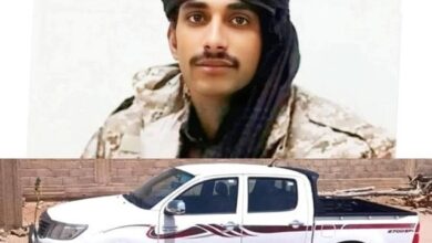 0809e176ad14734f74 1