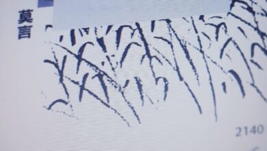 FB IMG 1751431070067