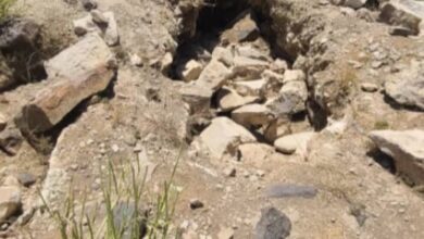 FB IMG 1752436630585