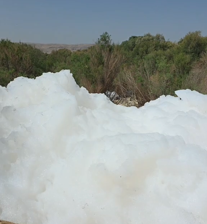 ظهور مادة بيضاء تشبه السحب على الأرض شمال صنعاء 2 00894