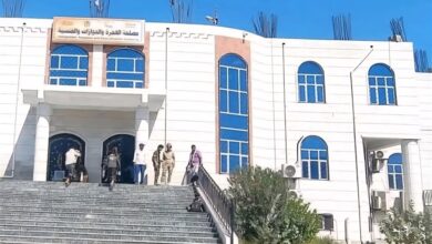 A8T 22 08 2025 12 14 38