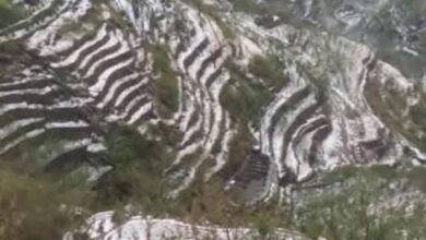 FB IMG 1754104520312