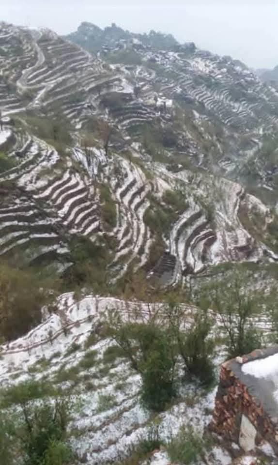 FB IMG 1754104520312