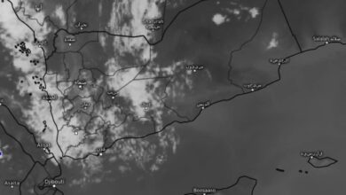 FB IMG 1754194131704