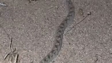 FB IMG 1754576752377