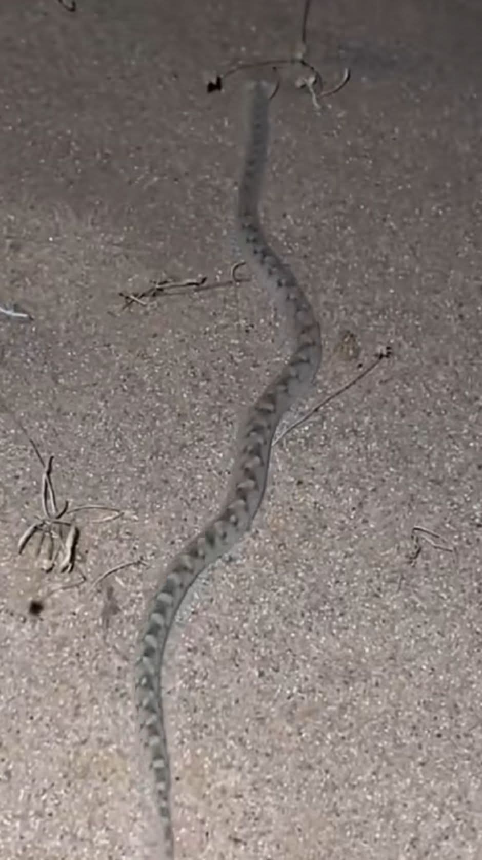 FB IMG 1754576752377