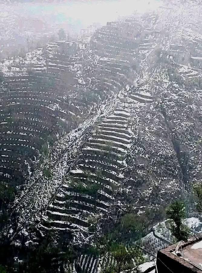 FB IMG 1754595747839