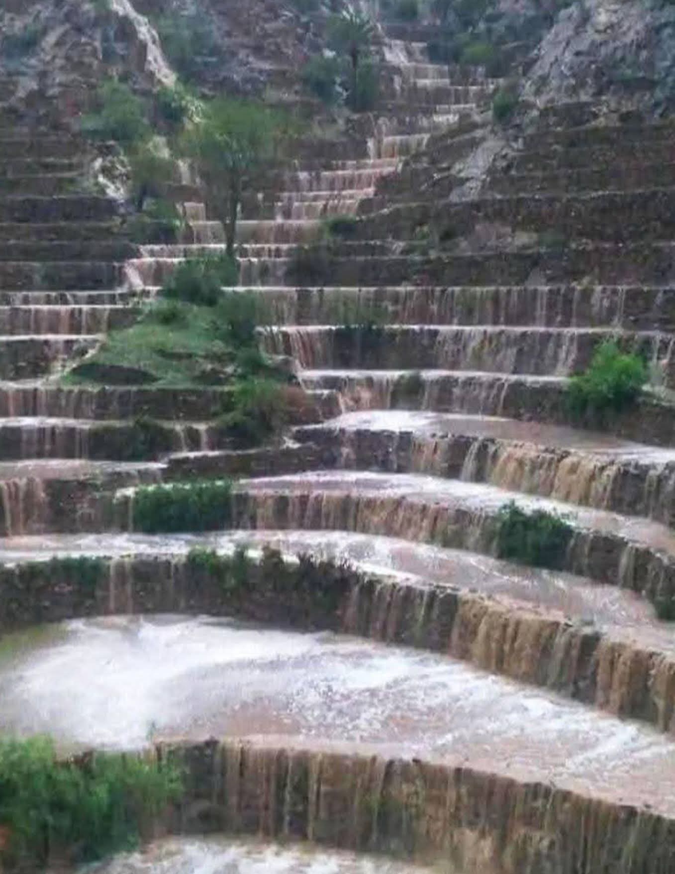 FB IMG 1754989429637