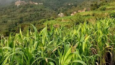 FB IMG 1755897269639