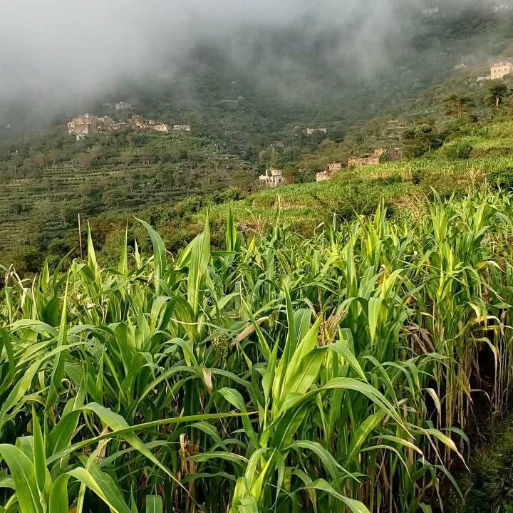 FB IMG 1755897269639