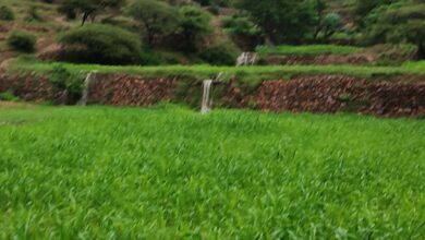 FB IMG 1755942158723