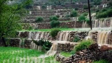 FB IMG 1755950671449