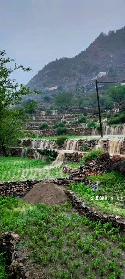 خبير في الطقس يتوقع امطار متفاوتة الغزارة على عدة محافظات ويحذر سمان صنعاء ومحافظات مجاورة 1 FB IMG 1755950671449